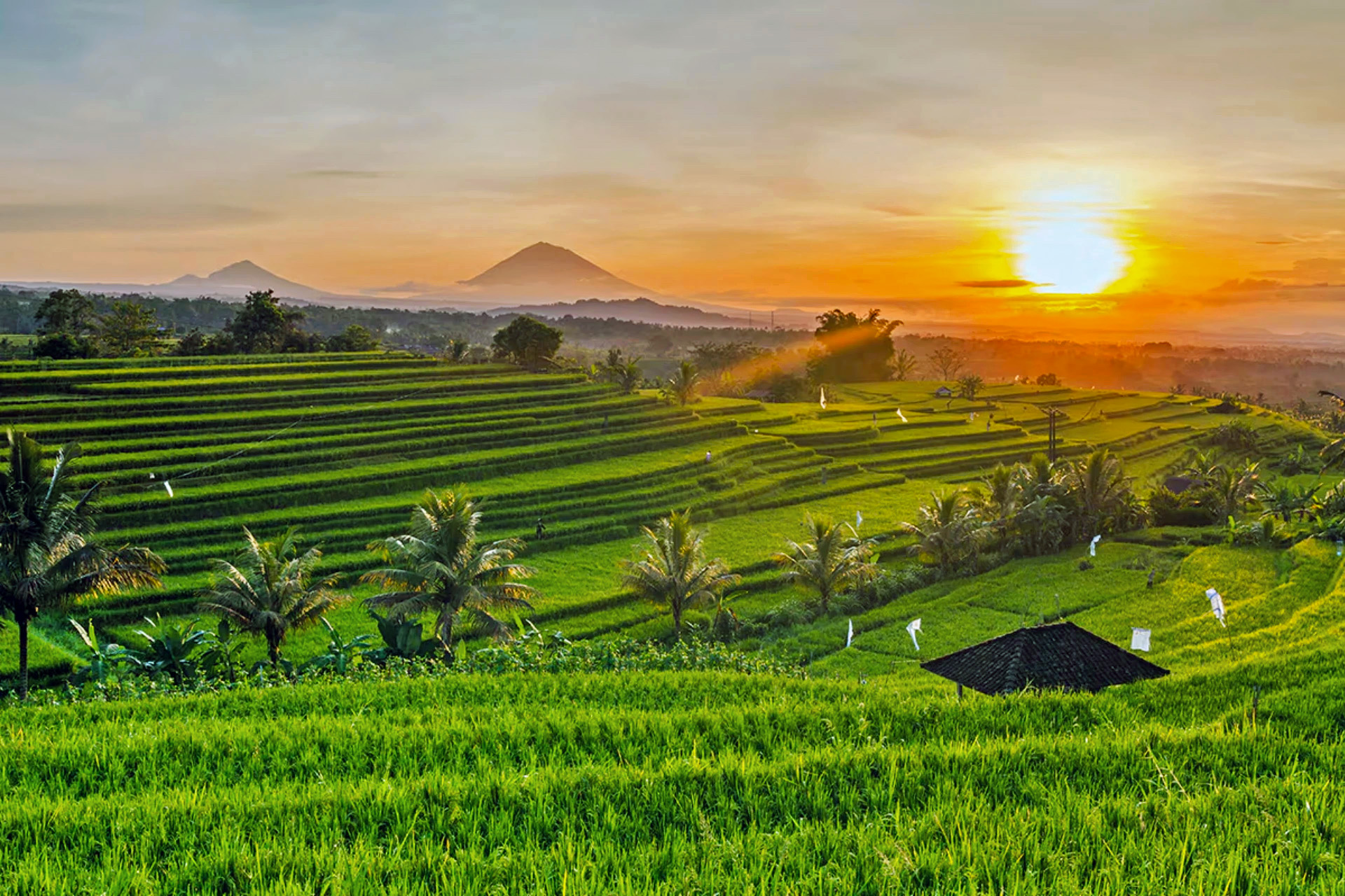 Ubud Itinerary - 3 Days in Ubud