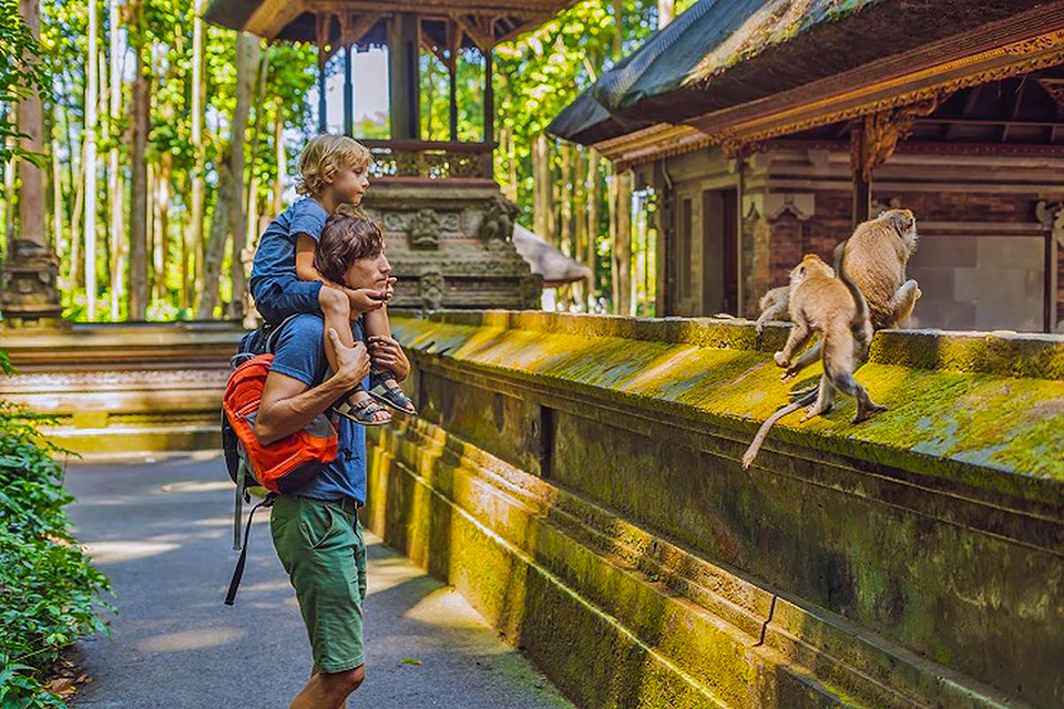 Ubud Travel Guide - Monkey Forest