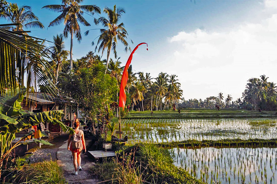 Ubud Travel Guide - Rice Field Tours and Walks