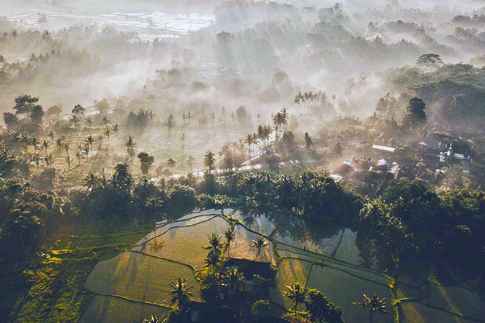 Ubud Travel Planning Tips - Misty Morning