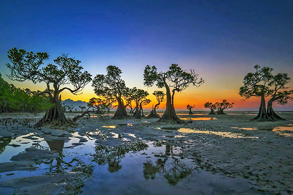 Sumba Overland Tour | Walakiri Beach East Sumba