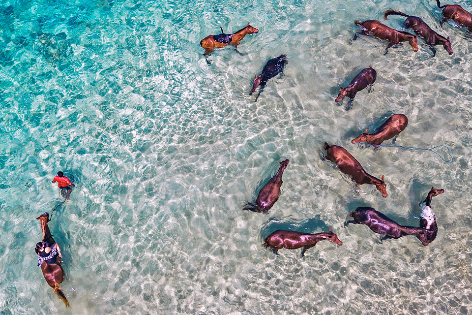 West Sumba Attractions | Horses in Nihiwatu Beach