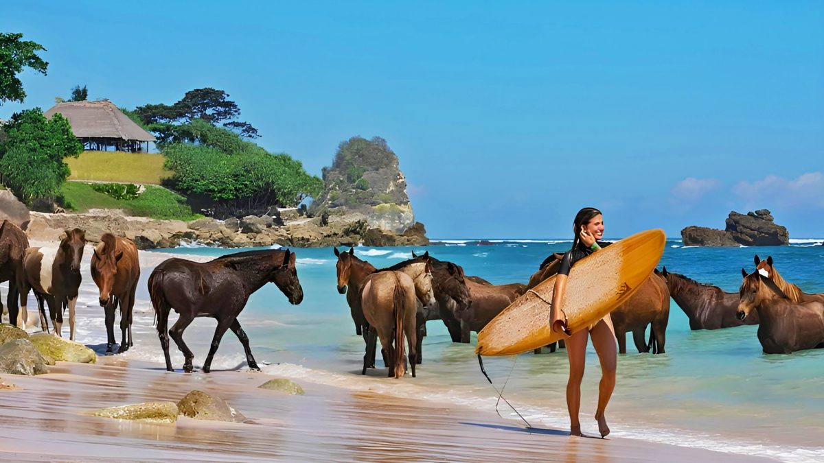 West Sumba Tours | Horses and Surf at Nihiwatu Beach