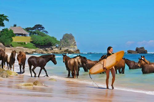 West Sumba Tours | Horses and Surf at Nihiwatu Beach