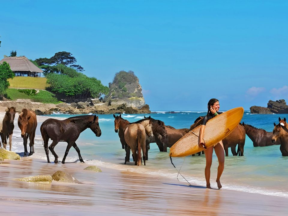West Sumba Tours | Horses and Surf at Nihiwatu Beach