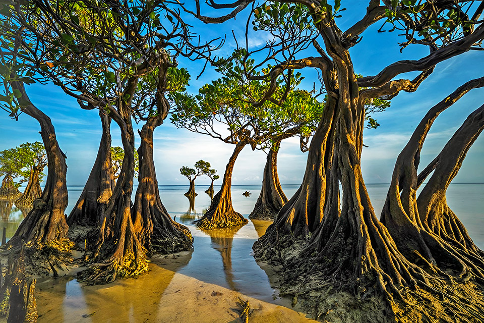 4-5 Days Sumba Island Tour Package Visiting Highlights Including Walakiri Beach