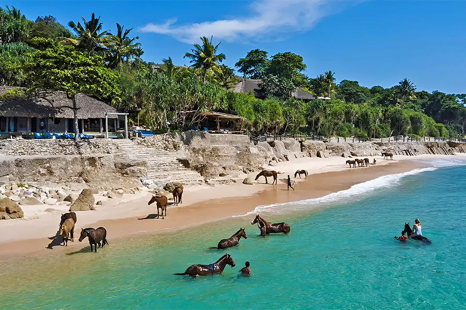 6 Days Sumba Island Tour - Horses in Sumba Beach