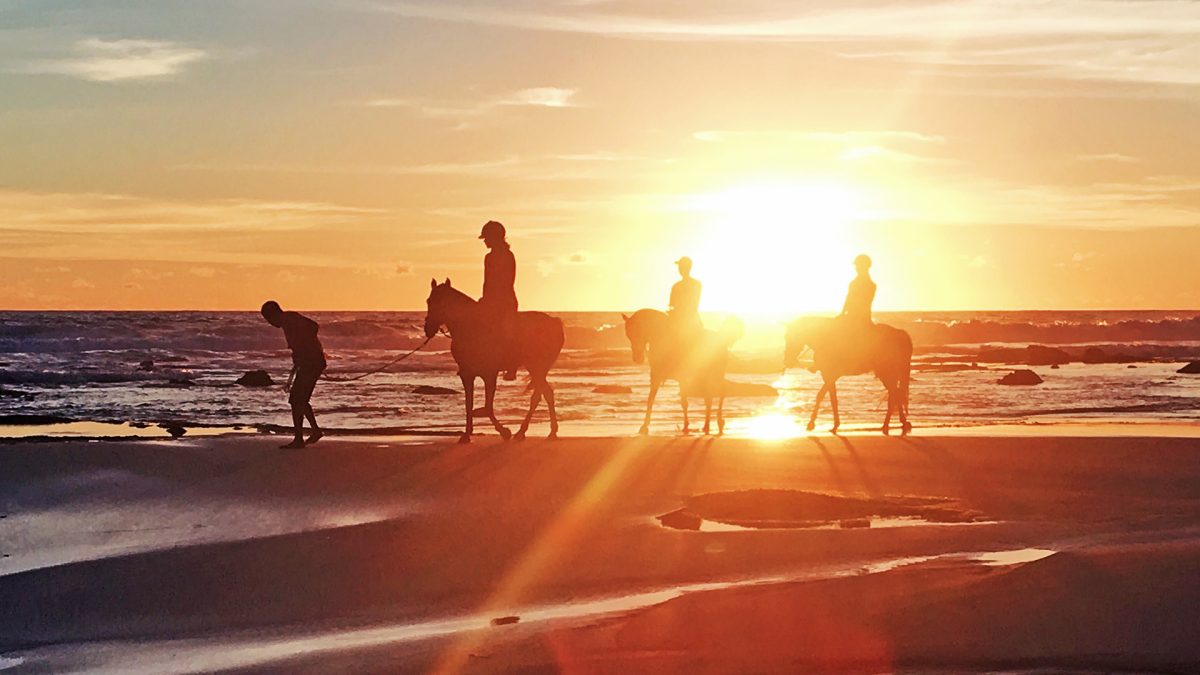 Nihiwatu Travel Guide Sunset with Horses Silhouette