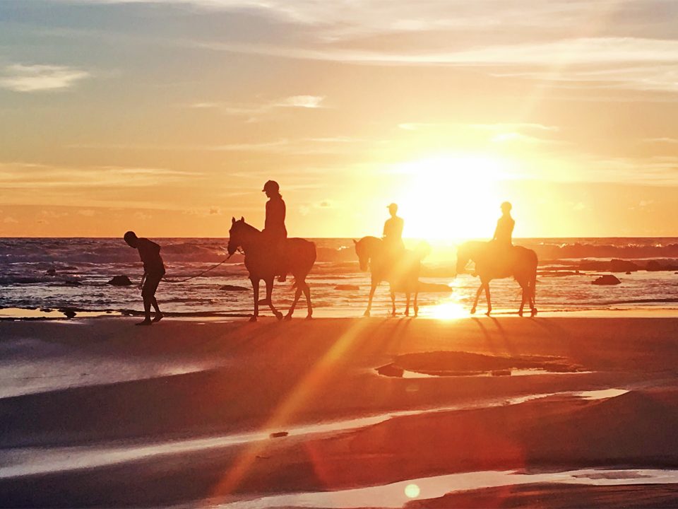 Nihiwatu Travel Guide Sunset with Horses Silhouette