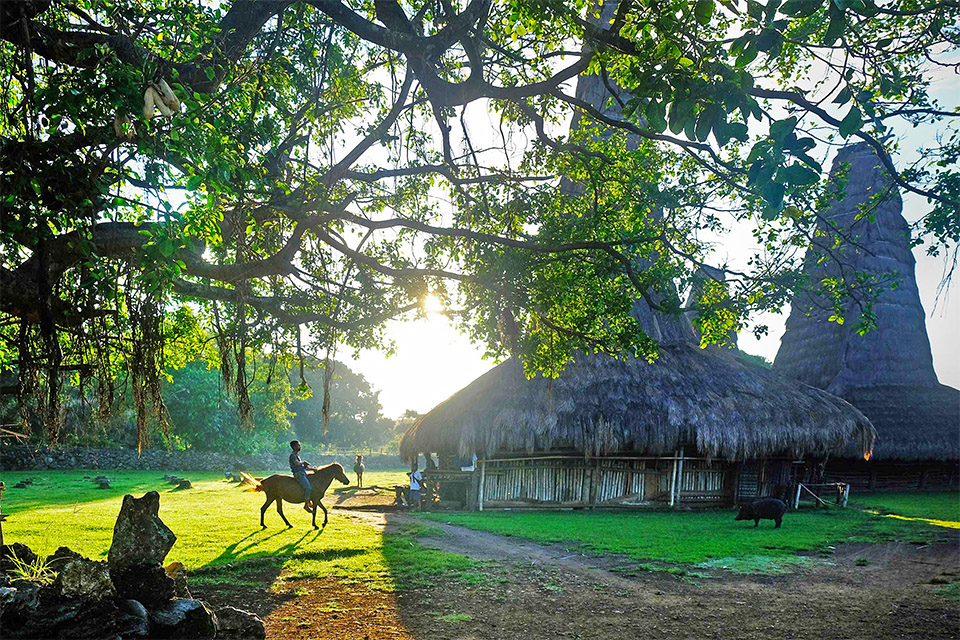Ratenggaro Visitors Guide Shady Backyard