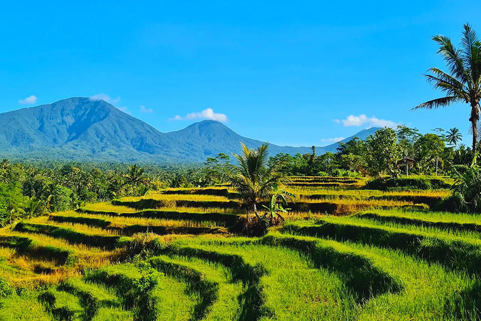 Bali Tour Packages Visiting Mount Batukaru