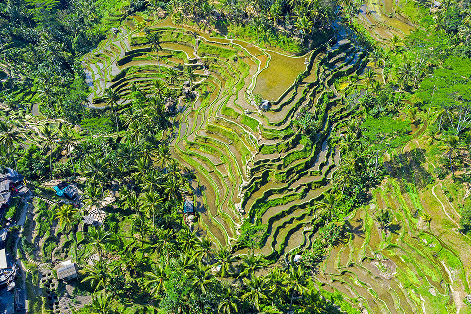 Ubud Travel Guide Exploring Bali Cultural Heart