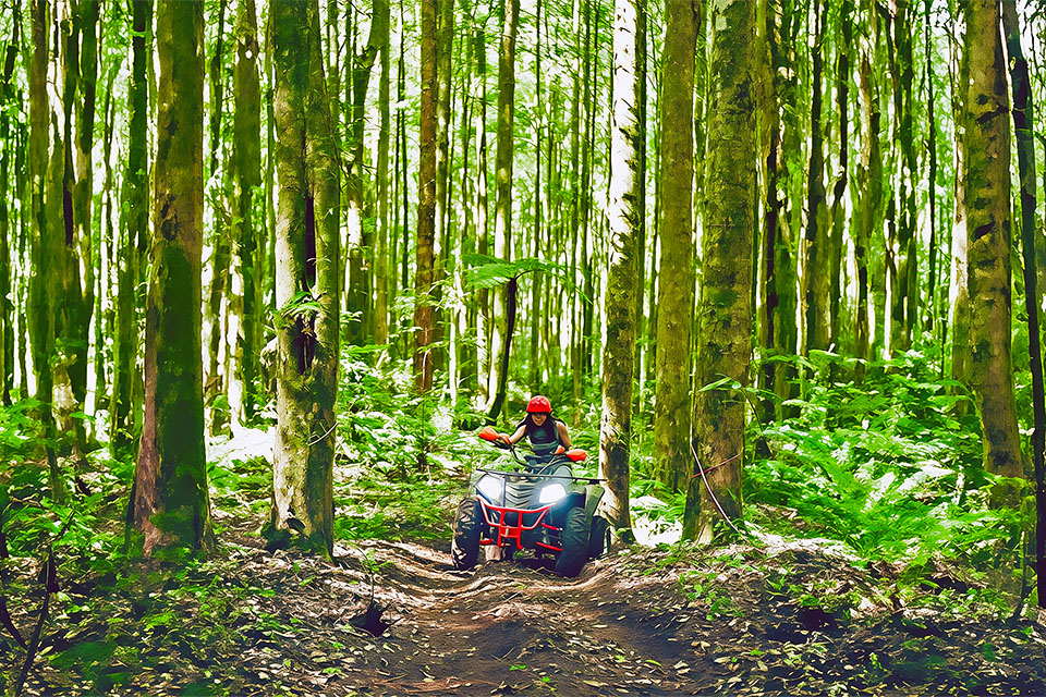 ATV Tour in Bedugul Bali