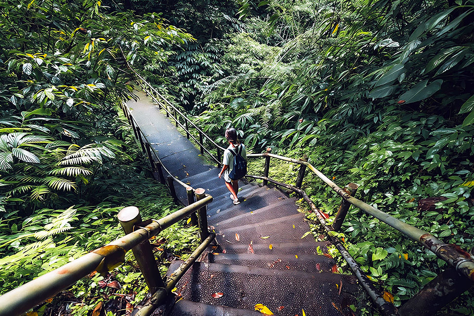 Guide to Nung Nung Waterfall Bali