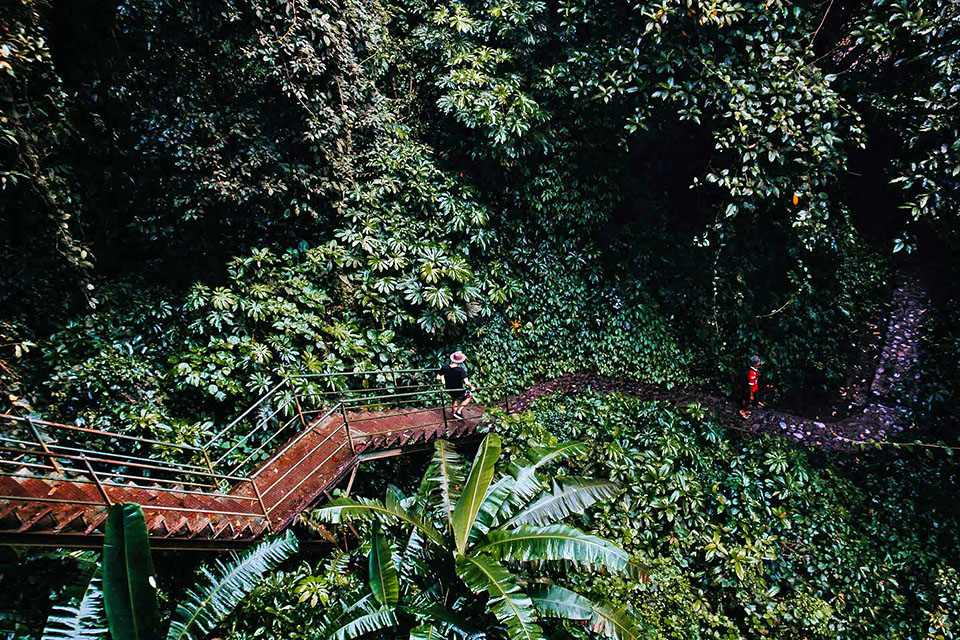 Stairway Getting to Sekumpul Waterfall bali